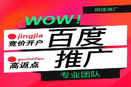 百度广告竞价策略解析与应用案例